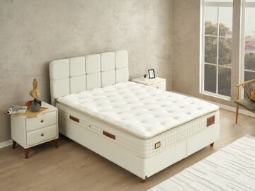 Begonya Başlıksız Baza