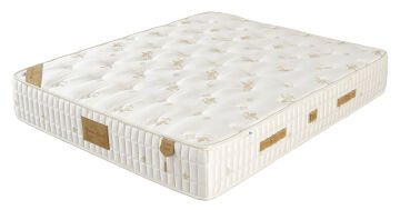 Dream Cloud Ortopedik Kuş Tüyü Sünger Doğal Viskon Kumaş Yatak Baza Başlık Seti