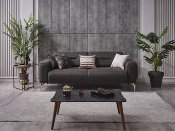 Lozan Koltuk Takımı